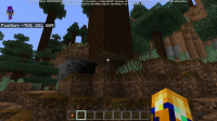 Screenshot (9).png