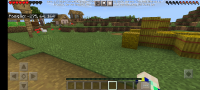 Screenshot_2021-09-07-09-53-03-170_com.mojang.minecraftpe.jpg