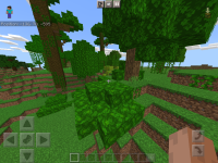 IMG_9988.PNG