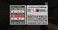 Villager Class Glitch.jpg