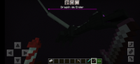 Screenshot_20210914-182129_Minecraft.jpg
