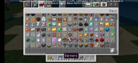 Screenshot_2021-09-16-10-55-51-412_com.mojang.minecraftpe.jpg