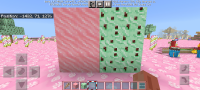 Screenshot_20210919-132849_Minecraft.jpg