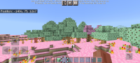 Screenshot_20210919-132832_Minecraft.jpg