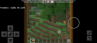 Screenshot_20210919-130839_Minecraft.jpg