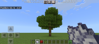 Screenshot_20210919-140745_Minecraft.jpg