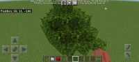 Screenshot_20210919-141032_Minecraft.jpg