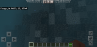 Screenshot_20210924-225526_Minecraft.jpg
