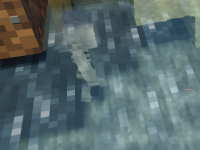 skeleton.jpg
