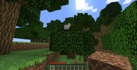 2013-10-16_09.03.59.png
