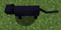 MC-237556 (1681).png