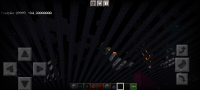 Screenshot_20211011-154203_Minecraft.jpg