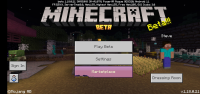 Screenshot_20211014-173955_Minecraft.jpg