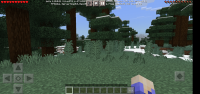 Screenshot_20211016-153641_Minecraft.jpg