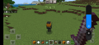 Screenshot_2021-10-22-14-30-22-514_com.mojang.minecraftpe.jpg