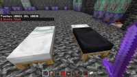 Minecraft Screenshot 2021.10.24 - 16.25.53.40.png