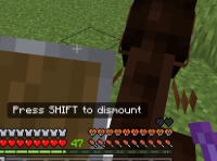 different horse which i just reproduced the bug on.png