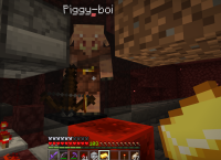 Broken Piglin.png