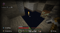Minecraft (4).png