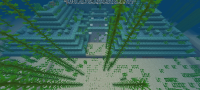 Screenshot_2021-11-01-14-55-39-944_com.mojang.minecraftpe.jpg