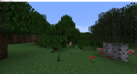 2021-11-01.png