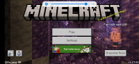 Screenshot_20211104-152834_Minecraft.jpg