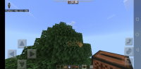 Screenshot_20211108-195930.jpg