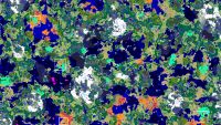 swamp-desert.png