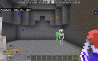 Screenshot_20211109-163125_Minecraft.jpg