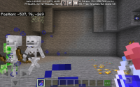 Screenshot_20211109-163135_Minecraft.jpg