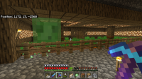Minecraft 11_14_2021 2_05_54 PM.png