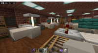 Minecraft 11_15_2021 5_58_59 PM.png