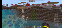 Screenshot_2021-11-20-13-16-28-108_com.mojang.minecraftpe.jpg