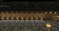 Minecraft 11_25_2021 4_40_47 PM.png
