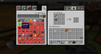 Minecraft 11_27_2021 6_20_49 PM.png
