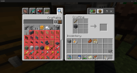 Minecraft 11_27_2021 6_21_05 PM.png