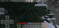 Screenshot_20211129-182349_Minecraft.jpg