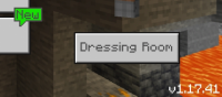 Screenshot_20211130-131716_Minecraft.jpg