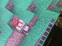 image.jpg