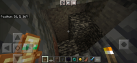 Screenshot_2021-11-30-21-57-11-050_com.mojang.minecraftpe.jpg
