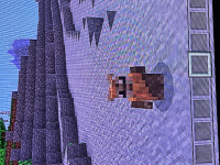 image.jpg