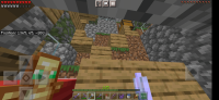Screenshot_2021-12-01-13-30-03-347_com.mojang.minecraftpe.jpg