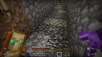 Minecraft (20).jpg