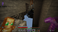 Minecraft (19).jpg