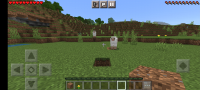 Screenshot_20211203-100050_Minecraft.jpg