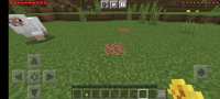 Screenshot_20211203-100110_Minecraft.jpg