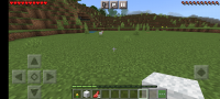 Screenshot_20211203-100241_Minecraft.jpg