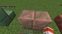 Minecraft 12_4_2021 8_32_27 PM.png