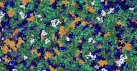 amidst_54043842700165.png