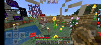 Screenshot_20211208-133621_Minecraft.jpg